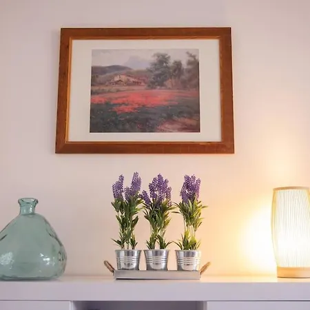 Luminoso Y Espacioso Piso A 5 Min Andando Del Mar Apartman Palamós